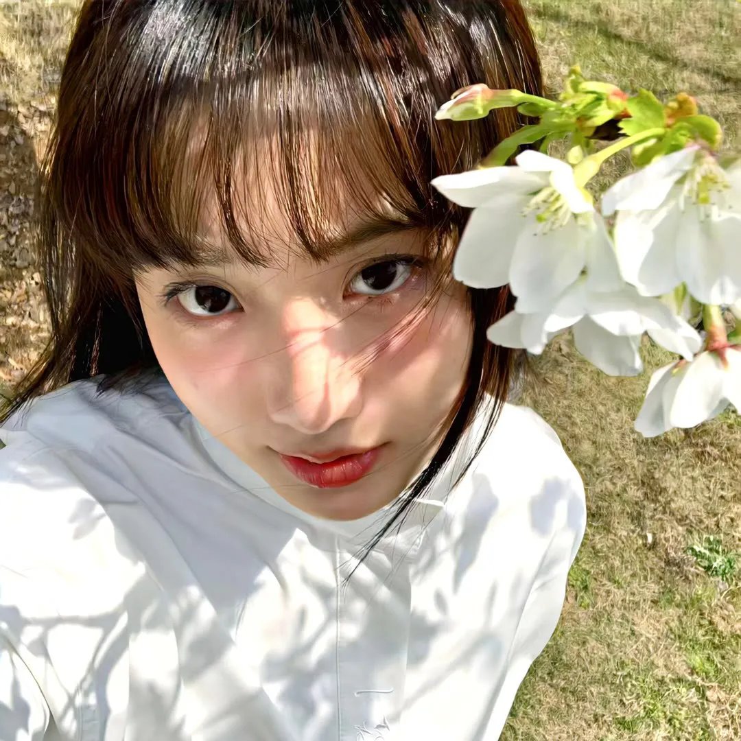 秘密使节